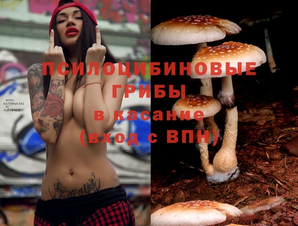 шишки Алзамай
