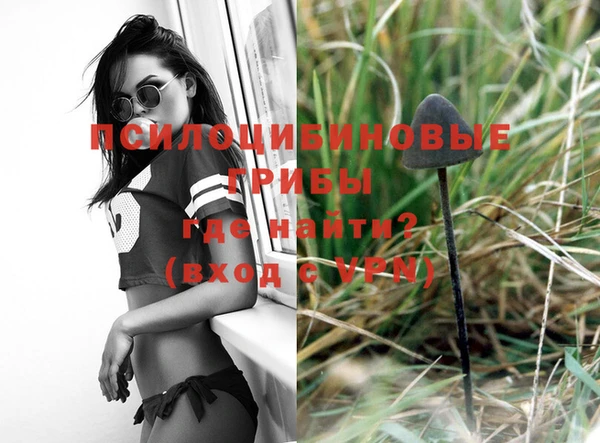 шишки Алзамай