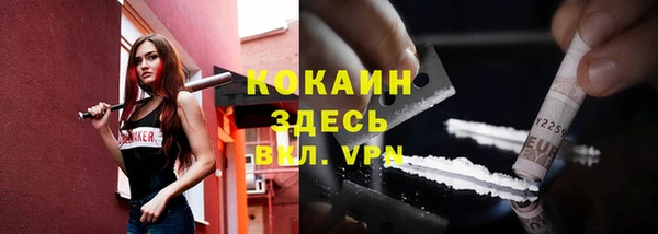 стаф Алексин