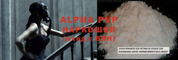 стаф Алексин