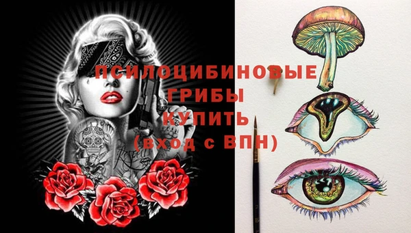 шишки Алзамай