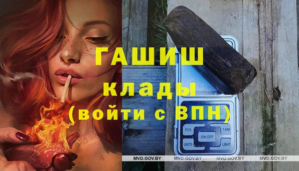 стаф Алексин