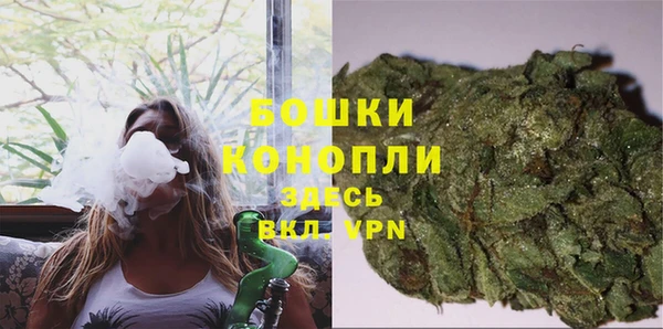шишки Алзамай