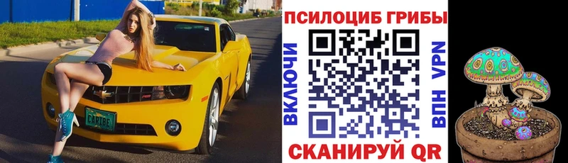 Галлюциногенные грибы мухоморы  Геленджик 