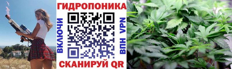 Каннабис AK-47  купить   Геленджик 